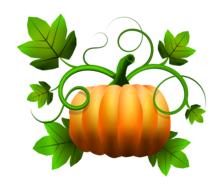 Image of the pumpkin with green leaves at white background