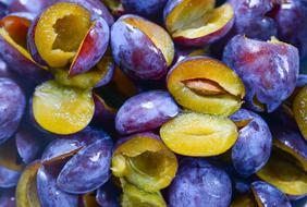 goodly Plums Food Macro