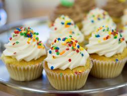 cupcakes with vanilla cream