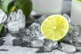 melting ice cubes and lime