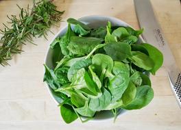 Spinach Herbs