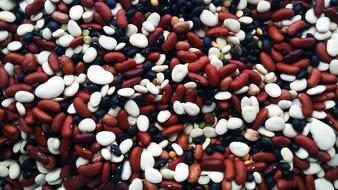 colorful Beans, background