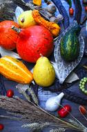 Pumpkin Still Life