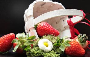 white wicker basket, red strawberries and white daisy