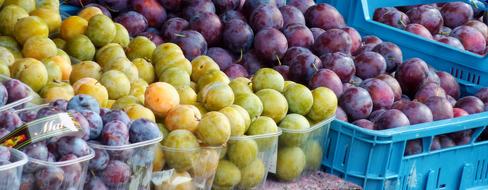 green and blue plums fruits in the market