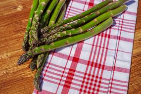 Asparagus Green plate