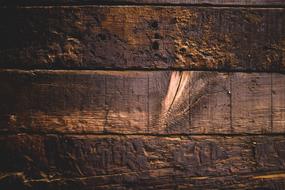 Wood Texture wall