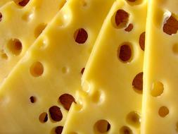 tasty Cheese Breakfast