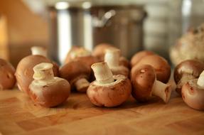 juicy Mushrooms Brown