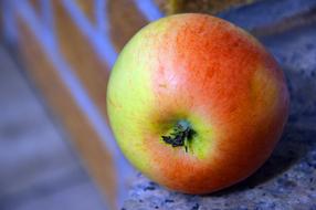 juicy Apple Fruit Pome