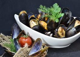 Mussels and tomato