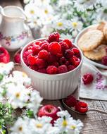 Beautiful pink raspberries in the white bowl