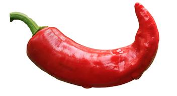 Chilli Pepper red green
