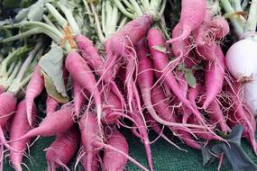 Carrot Parsnip