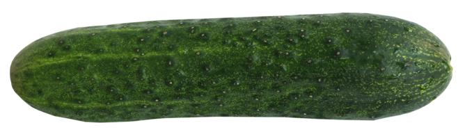 Cucumber Food green