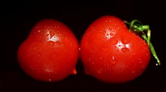two wet tomatoes on a black background