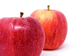 two spotted red apples on a white background