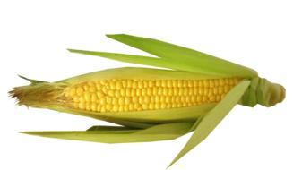 juicy Vegetable Corn Cut