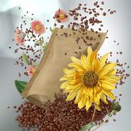 Coffee Morning Beans and flower drawing