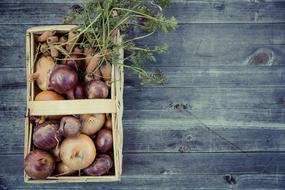 purple and yellow onions in a wicker basket