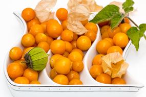 Cape Gooseberry, Ripe Fruits