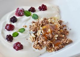 Muesli Breakfast