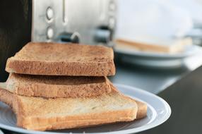fresh Food Bread