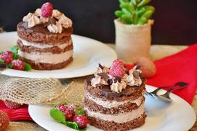 chocolate cakes with cream and decoration