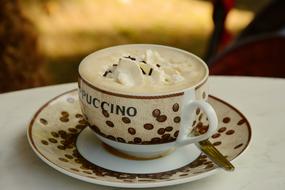 hot Cappuccino Coffee Cup