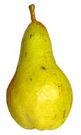Healthy Pear Fruit yellow