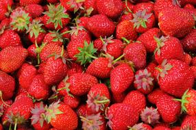 red Strawberries Fruit