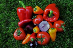 colorful raw Vegetables on grass