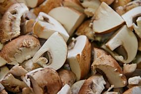 macro photo of chopped brown champignon