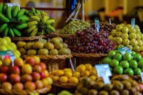 fresh Market Fruits