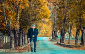 old man with stick walking on road at fall