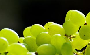 Grapes as a Fruits Healthy