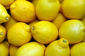 juicy Lemons Yellow Food