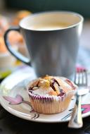 blueberry muffin and a cup of coffee
