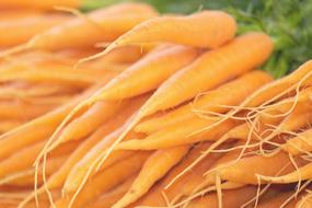 young light orange carrots