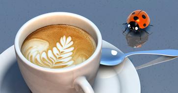 Ladybug beetle and coffee cup