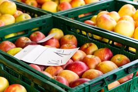 Apples in plastic boxes on Market Stall