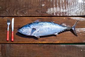raw Fish, fork and knife on wet wooden boards, Fresh Food