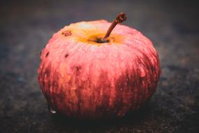 wet striped pink apple