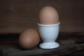 chicken egg in a stand close-up on a blurred background