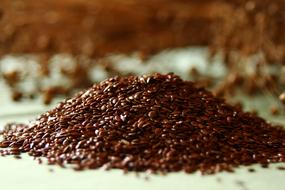 Linseed Flaxseed Semi