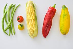 organic vegetables on the white background