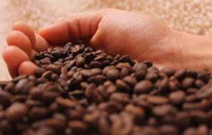 Coffe beans in human hand