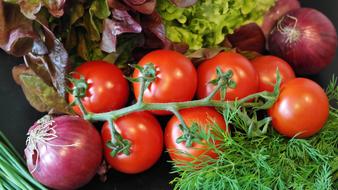 Salad and Tomatoes and Onion