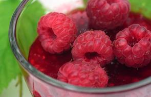 Raspberries and Raspberry Jam