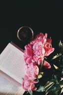 Books and bouquet of beautiful pink flowers